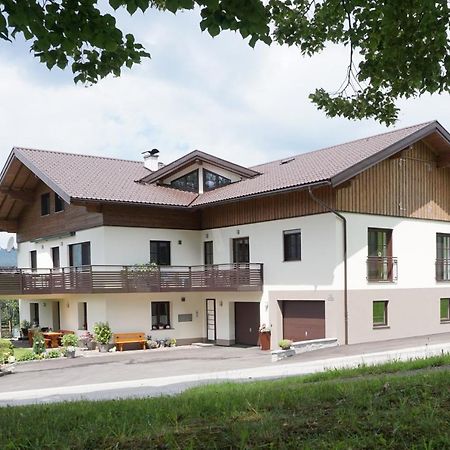 Ferienwohnung Hausleitner Zell am Moos Ngoại thất bức ảnh