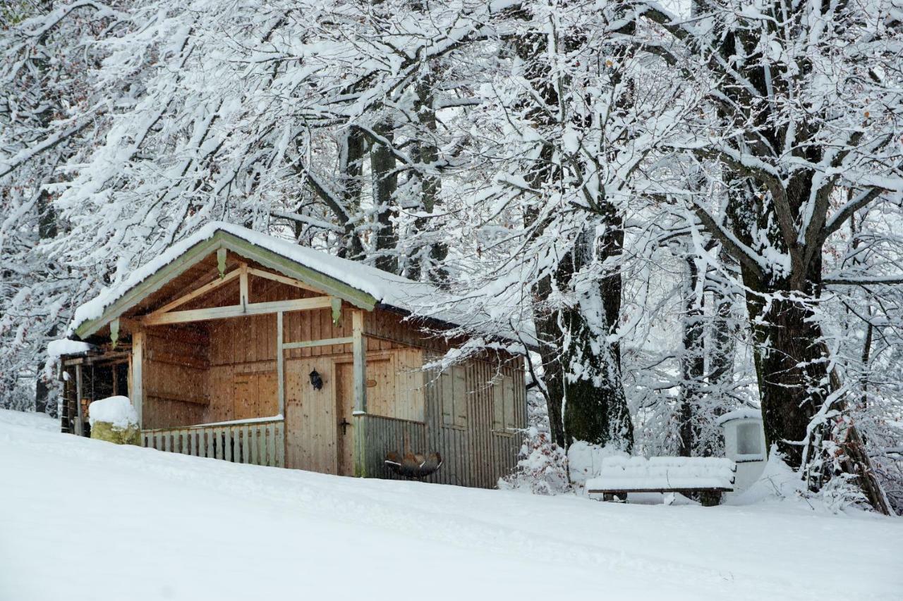 Ferienwohnung Hausleitner Zell am Moos Ngoại thất bức ảnh